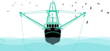 Europarlement stemt voor ban op pulsvisserij