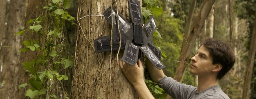 Met een oude telefoon kan het regenwoud beschermd worden