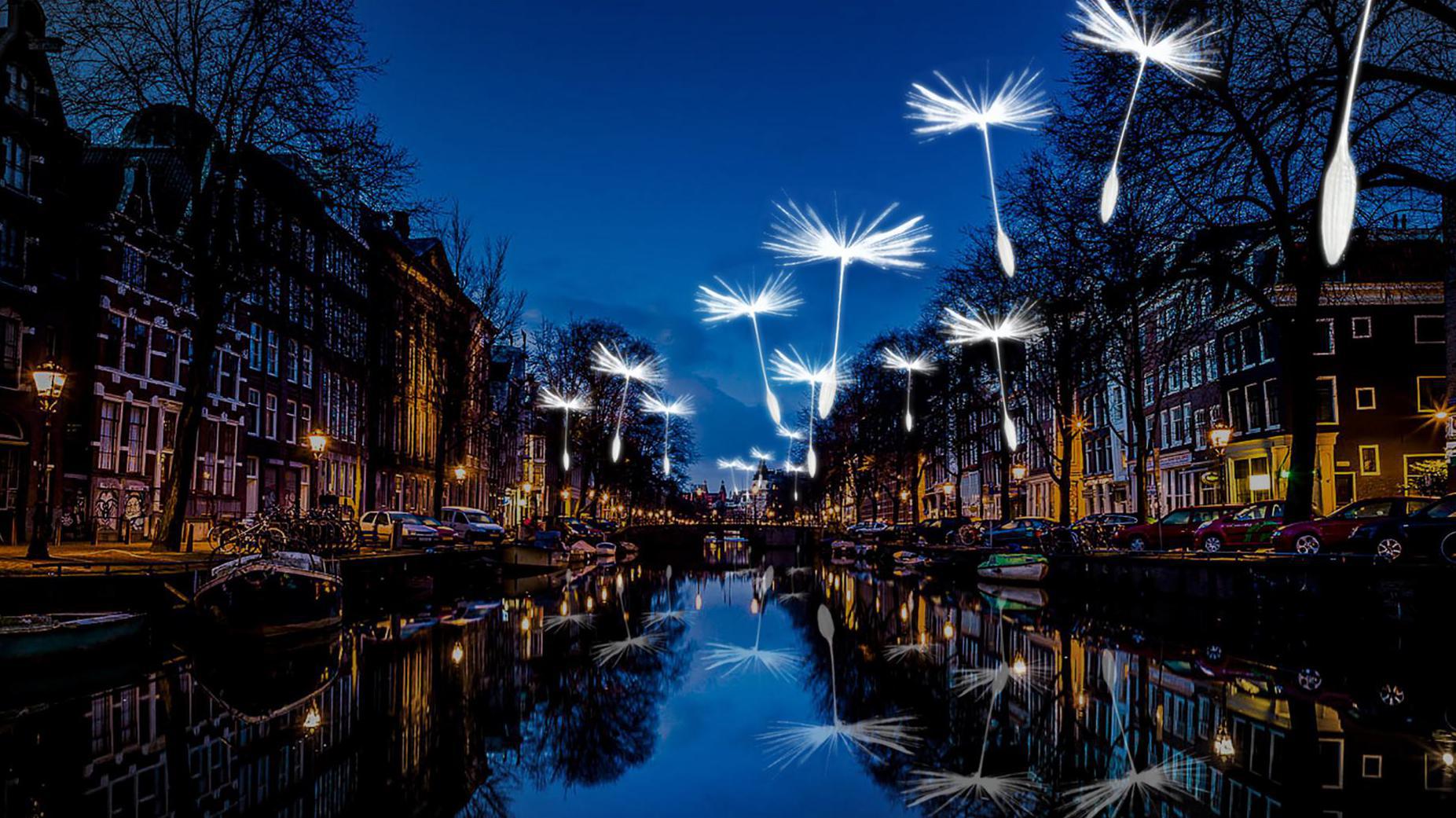 Amsterdam Light Festival: Van Gogh en 80 spinnen